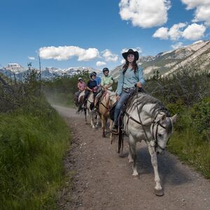 Veranstaltung: Sundance Loop Trail Ride from Banff, Banff City Tours in Banff