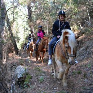 Veranstaltung: Alanya: Guided Horseback Riding, Alanya Outdoor Activities in Alanya