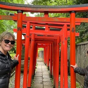 Veranstaltung: Tokyo: 3-Hour Private Walking Tour, Tokyo City Tours in Tokyo