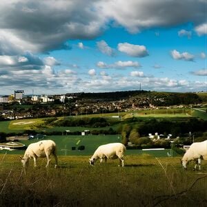 Veranstaltung: Hiking and Yoga Activity in Brighton, East Brighton Cafe in Brighton