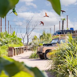 Veranstaltung: Parrot World : Pass annuel, Parrot World - Le parc animalier immersif in Crécy-la-Chapelle