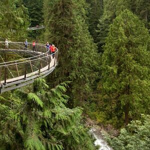 Veranstaltung: Vancouver: City Highlights Tour + Vancouver Lookout & Capilano Suspension Bridge, Vancouver City Tours in Vancouver