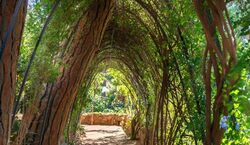 Veranstaltung: Park Güell y Casa Museo Gaudí: Entrada + Audioguía, Park Güell in Barcelona
