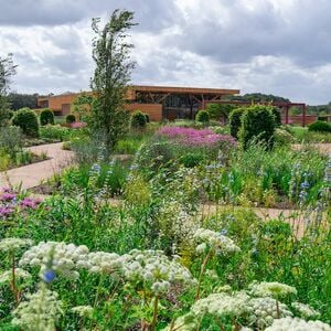 Veranstaltung: RHS Garden Bridgewater, RHS Garden Bridgewater in Manchester