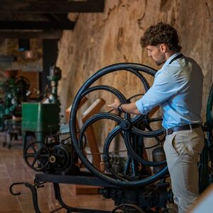 Veranstaltung: Porto: Passeio guiado de Tuk Tuk pela cidade + Visita à adega de vinho do Porto com degustações, Porto Walking Tours in Porto