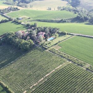 Veranstaltung: Felsina Culinaria: Corso di cucina + viaggio di andata e ritorno da San Pietro Terme, Castel San Pietro Terme Cooking Classes in Castel San Pietro Terme