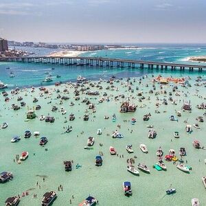 Veranstaltung: Famous Destin Dolphin Cruise & Crab Island Sandbar, 172 Harbor Blvd in Destin