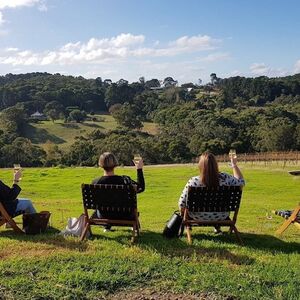 Veranstaltung: Yarra Valley: Guided Premium Lunch & Wine Tasting + Transfers, Yarra Valley Day Trips from Melbourne in Melbourne