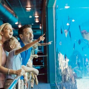 Veranstaltung: Sea World Single Day Pass Ticket, Sea World Gold Coast in Main Beach