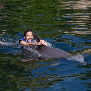 Veranstaltung: Xcaret Dolphin Tour Plus y nado con delfines, Delphinus Xcaret in Playa del Carmen