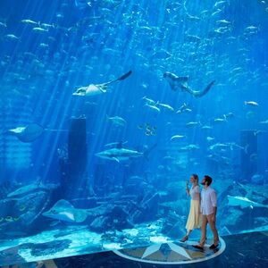 Veranstaltung: Aquaventure: Entry Ticket + Shark Safari or Snorkel, Aquaventure Waterpark in Dubai