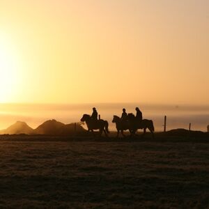 Veranstaltung: Iceland: Horseback Riding - Siggi Tour, Ölfus Outdoor Activities in Ölfus