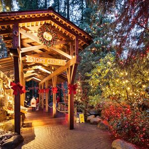 Veranstaltung: Vancouver: Christmas Tour with Capilano Canyon Lights, Capilano Suspension Bridge Park in North Vancouver