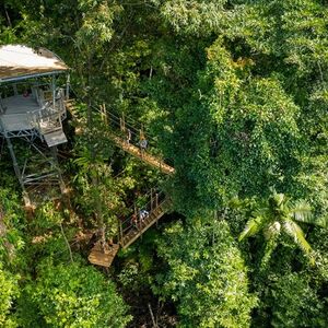 Veranstaltung: Treetops Adventure - Cape Tribulation, Treetops Adventure Cape Tribulation in Cape Tribulation