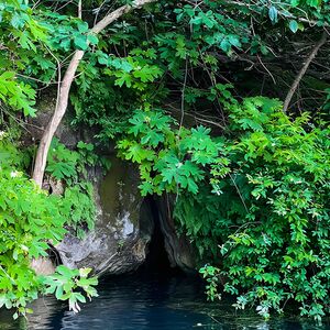 Veranstaltung: Clear Kayaking Eco Adventure Tour in Marianna, Cave Adventurers Inc in Marianna