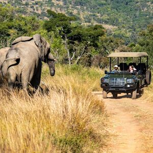 Veranstaltung: Aquila Private Game Reserve: Small-Group Safari Tour + Lunch + Transport, Safari Day Trips from Cape Town in Cape Town