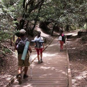 Veranstaltung: Parque Rural de Anaga: Visita guiada por el bosque, Parque Rural de Anaga in San Cristóbal de La Laguna