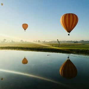 Veranstaltung: Hot Air Balloon Flight Brisbane with Vineyard Breakfast, 74-98 Beaudesert Nerang Rd in Gold Coast