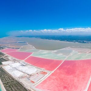 Veranstaltung: Río Lagartos y Las Coloradas: Visita Guiada, Almuerzo con Bebidas + Traslado, Las Coloradas Day Trips from Cancún in Cancún