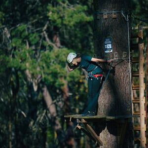 Veranstaltung: Forest Adventures Park Entry, Forest Adventures South West in Busselton