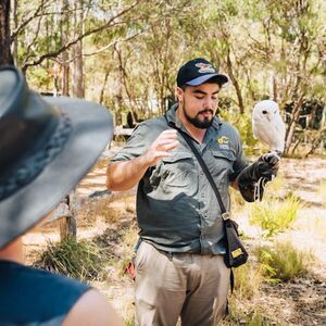 Veranstaltung: Capes Raptor Centre: Bird of Prey Encounter & Forest Walk, Eagles Heritage Raptor Wildlife Centre in Margaret River