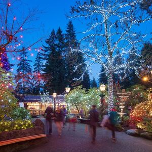 Veranstaltung: Vancouver: Christmas Tour with Capilano Canyon Lights, Capilano Suspension Bridge Park in North Vancouver