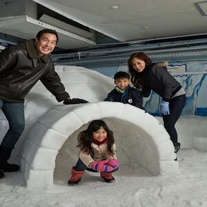 Veranstaltung: Snow City Singapore: Entry Ticket, Snow City Singapore in Singapore