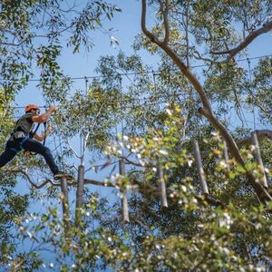 Veranstaltung: Western Sydney: Treetops Adventure, Treetops Adventure Western Sydney in Abbotsbury