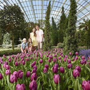 Veranstaltung: Gardens by the Bay: Floral Fantasy with 2 Domes + Hotel Pick-up, Gardens by the Bay in Singapore