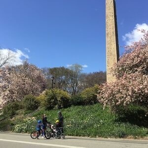 Veranstaltung: New York: Central Park Walking Tour, New York in new york city