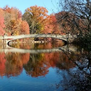 Veranstaltung: Central Park: Walking Tour, 795 8th Avenue,New York,10019,US in Manhattan