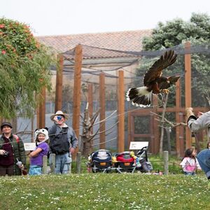 Veranstaltung: San Francisco Zoo: Entry Ticket, San Francisco Zoo in San Francisco