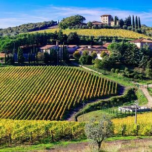 Veranstaltung: Tour dei vigneti e del castello del Chianti con degustazione di vini, Day Trips from Siena in Siena