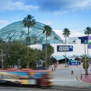 Veranstaltung: The Florida Aquarium: Entry Ticket, The Florida Aquarium in Tampa