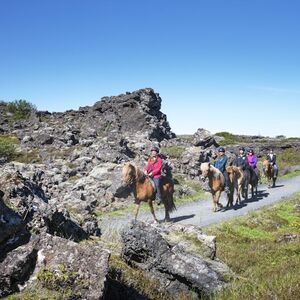 Veranstaltung: Horseback Riding with Icelandic Horses through the Lava Fields of Hafnarfjörður, Iceland Adventure Tours in Reykjavík