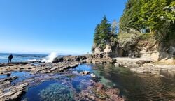 Veranstaltung: Victoria: 4-Day Tofino and Port Renfrew Tour with Flights, in Victoria, British Columbia