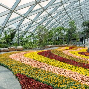 Veranstaltung: Jewel Changi Airport: Entry Ticket, Jewel Changi Airport in Singapore