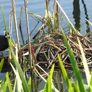 Veranstaltung: Cañada de los Pájaros, Cañada de los Pájaros in La Puebla del Río