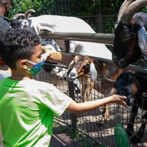 Veranstaltung: Central Park Zoo: Total Experience, Sarabeth's Central Park South in New York