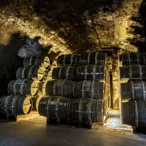 Veranstaltung: Château Royal de Cognac : Visite guidée + dégustation, Château Royal de Cognac in Cognac