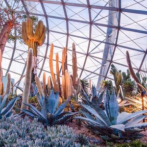 Veranstaltung: Gardens by the Bay: Flower Dome & Cloud Forest (Optional), Gardens by the Bay in Singapore