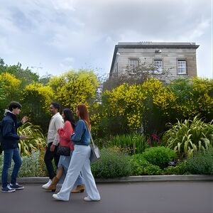 A Guided Walking Tour Of Trinity College Campus, Dublin - Tickets Und ...