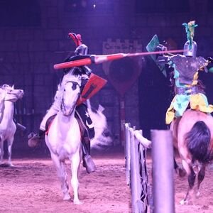 Veranstaltung: Tenerife Aventura Medieval, Dinner Shows Tenerife in Tenerife