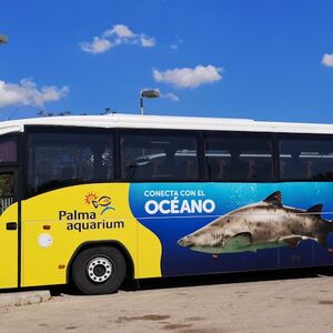 Veranstaltung: Palma Aquarium: Entrada + Traslado desde la zona de Calvià, Palma Aquarium in Palma