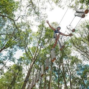 Veranstaltung: Western Sydney: Treetops Adventure, Treetops Adventure Western Sydney in Abbotsbury