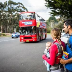 Veranstaltung: Blue Mountains Sydney: Hop-on Hop-off Explorer Bus, Blue Mountains National Park in Katoomba