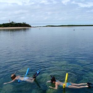 Veranstaltung: Express Low Isles Reef Sprinter Snorkelling Tour, Reef Sprinter in Port Douglas