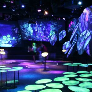 Veranstaltung: Changi Experience Studio: An Immersive Multimedia Experience, Changi Experience Studio in Singapore