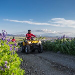 Veranstaltung: 2-Hr Reykjavik Twin Peaks ATV Tour, Iceland Adventure Tours in Reykjavík