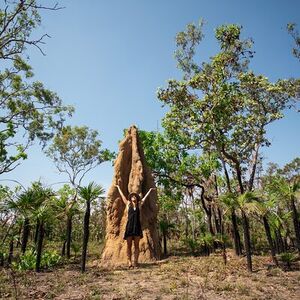 Veranstaltung: Litchfield National Park & Fogg Dam or Crocodile Cruise - Day Trip from Darwin, Travelodge Resort Darwin in Darwin City